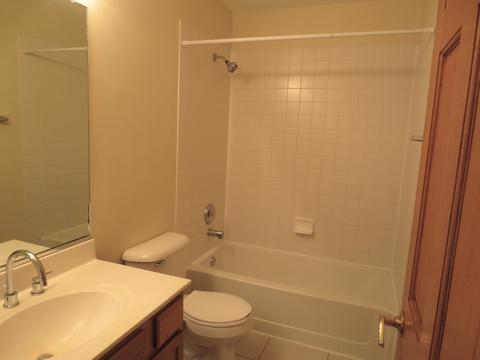 1407 Eliot Trl, Elgin, IL 60120 photo 24