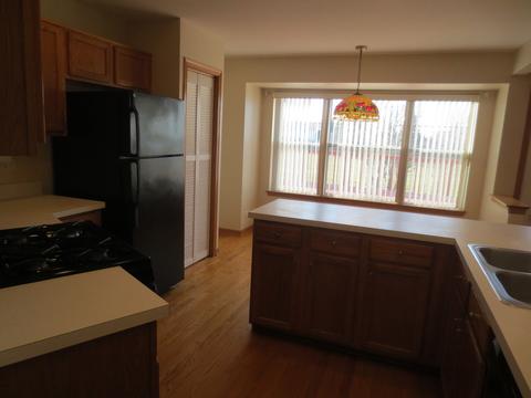 1407 Eliot Trl, Elgin, IL 60120 photo 9