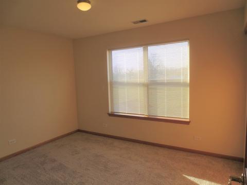 1407 Eliot Trl, Elgin, IL 60120 photo 21