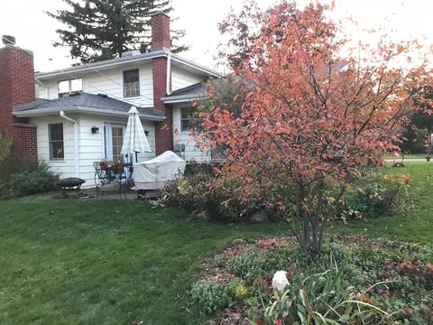 447 Tennyson Rd, Bartlett, IL 60103 photo 26