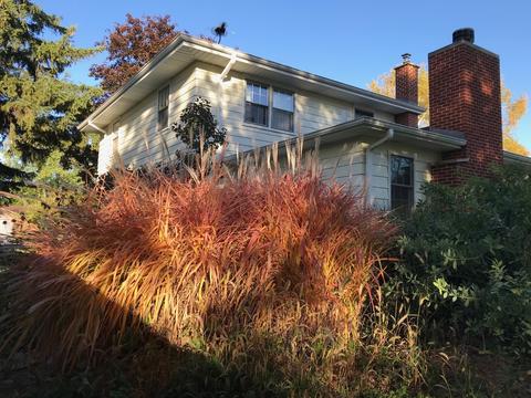 447 Tennyson Rd, Bartlett, IL 60103 photo 28