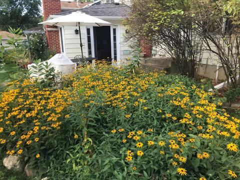 447 Tennyson Rd, Bartlett, IL 60103 photo 27