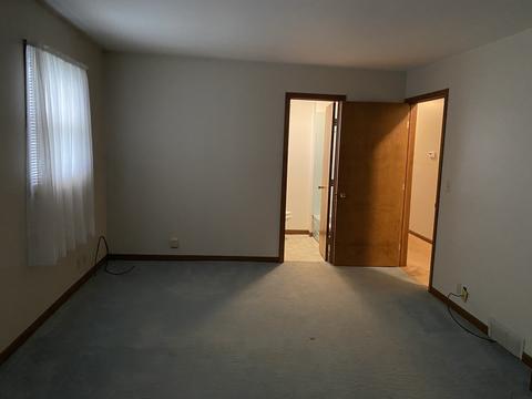231 E Iowa St, Spring Valley, IL 61362 photo 8