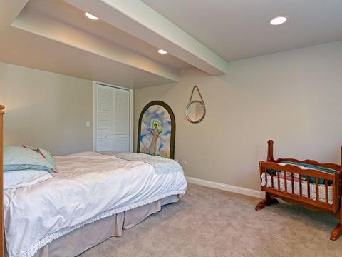 13009 Silverleaf Ct, Plainfield, IL 60585 photo 34