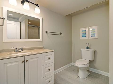 13009 Silverleaf Ct, Plainfield, IL 60585 photo 33