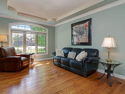 13009 Silverleaf Ct, Plainfield, IL 60585 photo 14