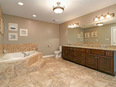 13009 Silverleaf Ct, Plainfield, IL 60585 photo 22