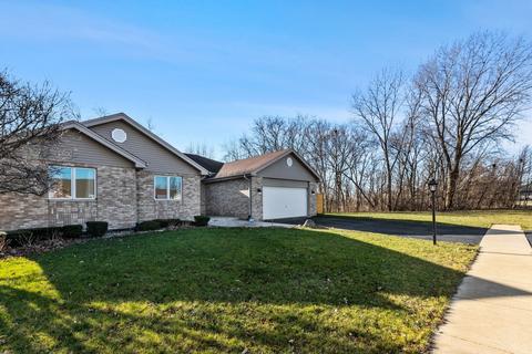 5113 Countyfair Ct, Monee, IL 60449 photo 22