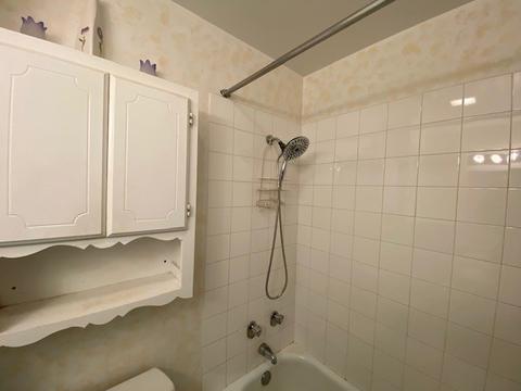 1232 Mae Ct, Wheeling, IL 60090 photo 10