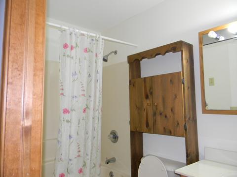 116 Clark St, Chenoa, IL 61726 photo 9