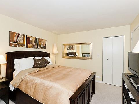 222 E Pearson St #1005, Chicago, IL 60611 photo 14