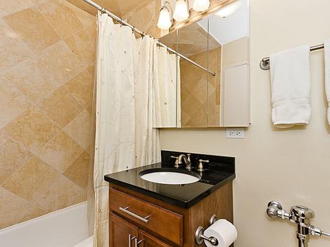 222 E Pearson St #1005, Chicago, IL 60611 photo 16