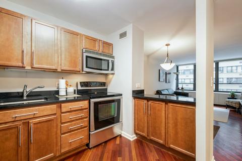 222 E Pearson St #1005, Chicago, IL 60611 photo 11