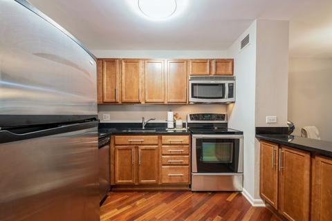 222 E Pearson St #1005, Chicago, IL 60611 photo 10