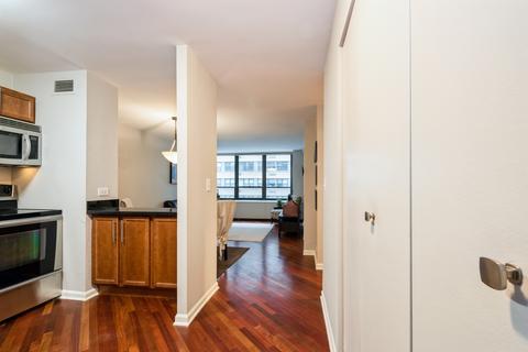 222 E Pearson St #1005, Chicago, IL 60611 photo 3
