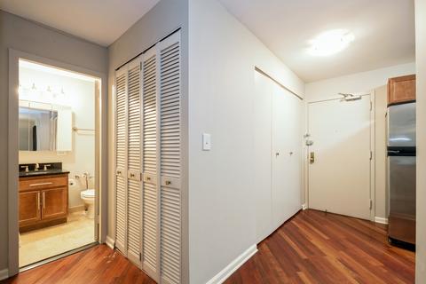 222 E Pearson St #1005, Chicago, IL 60611 photo 4