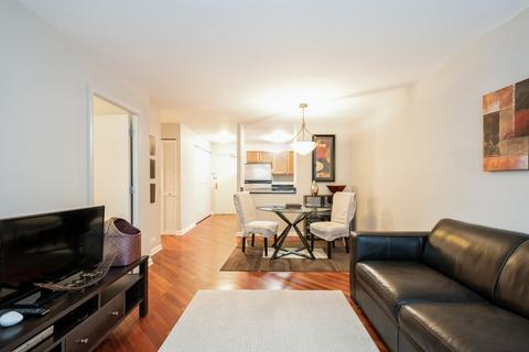 222 E Pearson St #1005, Chicago, IL 60611 photo 6