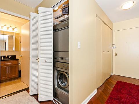 222 E Pearson St #1005, Chicago, IL 60611 photo 17