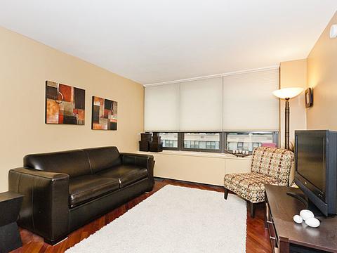 222 E Pearson St #1005, Chicago, IL 60611 photo 7