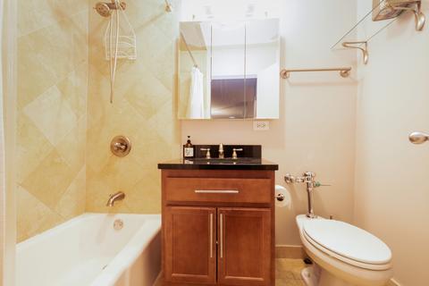 222 E Pearson St #1005, Chicago, IL 60611 photo 15