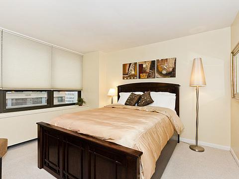222 E Pearson St #1005, Chicago, IL 60611 photo 13