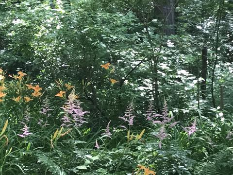 606 Juniper Rd, Glenview, IL 60025 photo 19