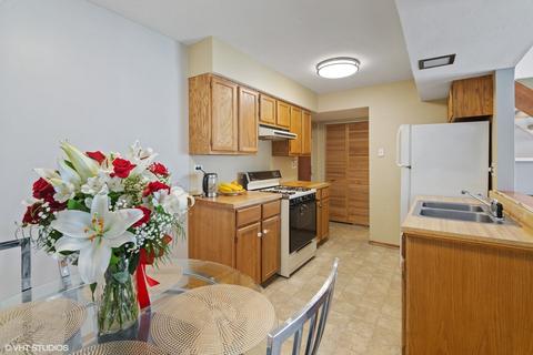 1229 Nova Ct, Wheeling, IL 60090 photo 5