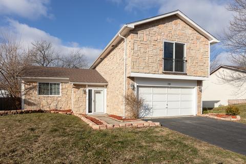 110 Pheasant Rd, Matteson, IL 60443 photo 1