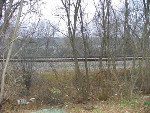 585 N State St, Elgin, IL 60123 photo 5