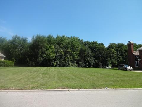 48 Ruffled Feathers Dr, Lemont, IL 60439 photo 2