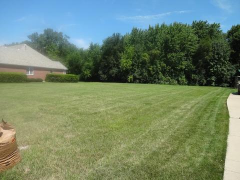 48 Ruffled Feathers Dr, Lemont, IL 60439 photo 4