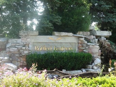 48 Ruffled Feathers Dr, Lemont, IL 60439 photo 1