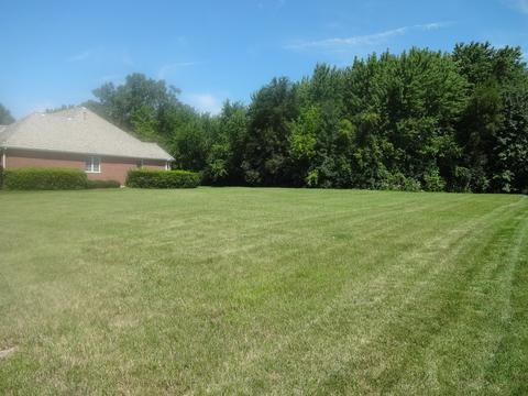 48 Ruffled Feathers Dr, Lemont, IL 60439 photo 5