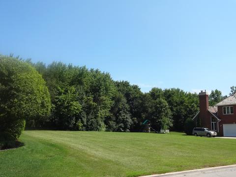 48 Ruffled Feathers Dr, Lemont, IL 60439 photo 3