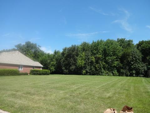 48 Ruffled Feathers Dr, Lemont, IL 60439 photo 6