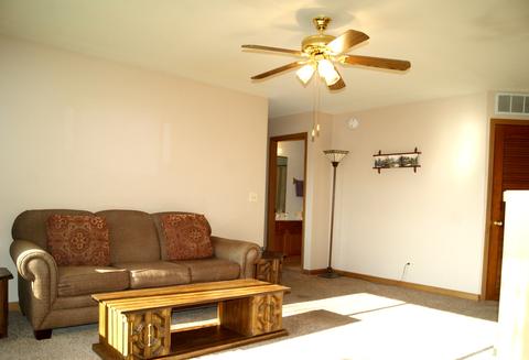 615 Mallard Ct #D2, Bartlett, IL 60103 photo 6