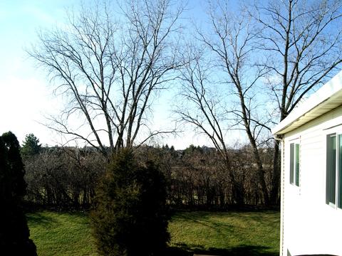 615 Mallard Ct #D2, Bartlett, IL 60103 photo 25