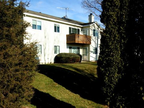 615 Mallard Ct #D2, Bartlett, IL 60103 photo 21