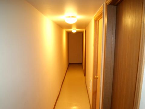 615 Mallard Ct #D2, Bartlett, IL 60103 photo 20