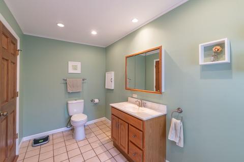 8531 S 77th Ct, Bridgeview, IL 60455 photo 18