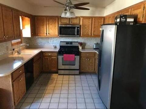 18451 Willow Ln, Lansing, IL 60438 photo 11