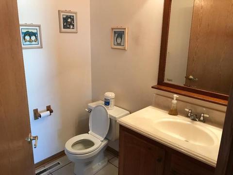 18451 Willow Ln, Lansing, IL 60438 photo 10