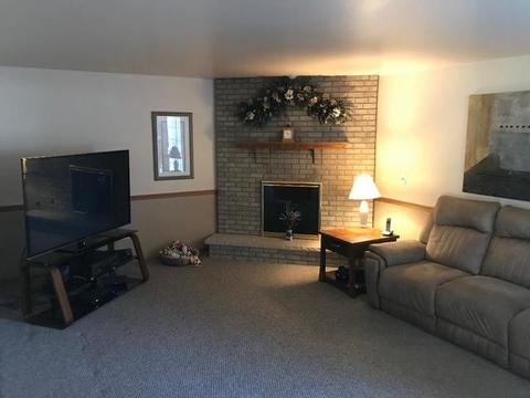 18451 Willow Ln, Lansing, IL 60438 photo 8