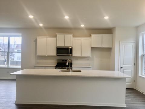 6 Grey Wolf Dr, Wheeling, IL 60090 photo 11