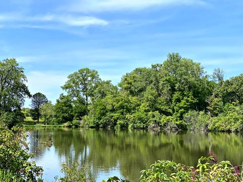 2109 Paulsen Rd, Harvard, IL 60033 photo 64