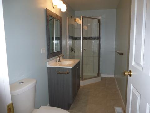 3737 Arthur Ter, Markham, IL 60428 photo 16