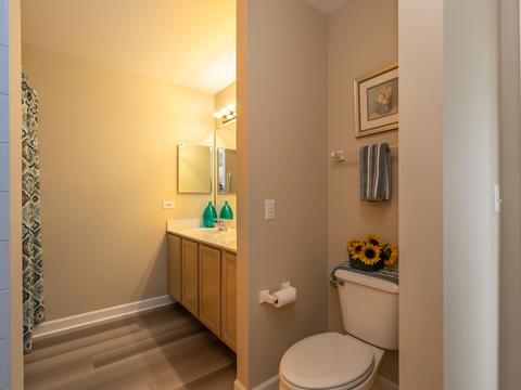 974 Pimlico Ln, Bartlett, IL 60103 photo 23
