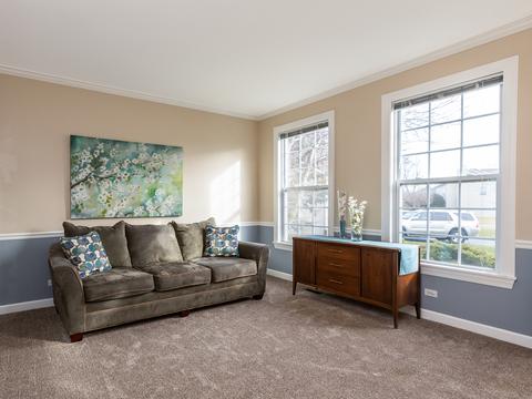 974 Pimlico Ln, Bartlett, IL 60103 photo 4