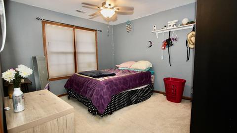 1835 Kingtree Dr, Morris, IL 60450 photo 26