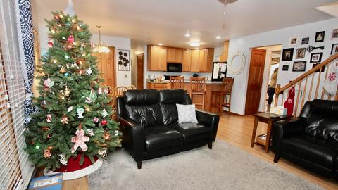 1835 Kingtree Dr, Morris, IL 60450 photo 13